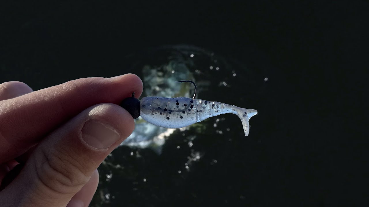 Micro Lure Catches BIG Fish  !! || Winter Lure fishing ||