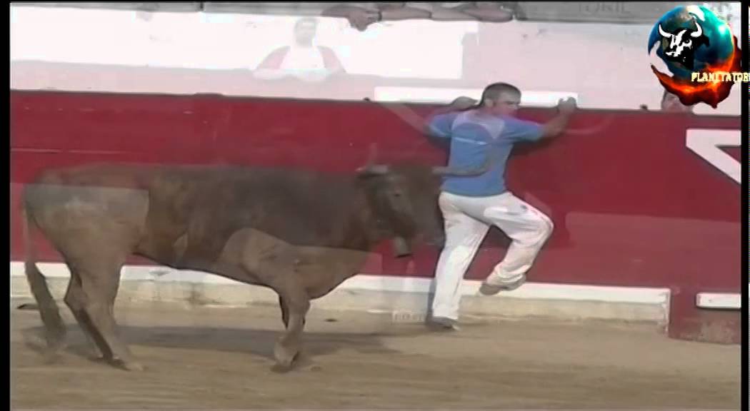 2005 06 25 PERALTA CONCURSO DE ANILLAS HNOS OZCOZ