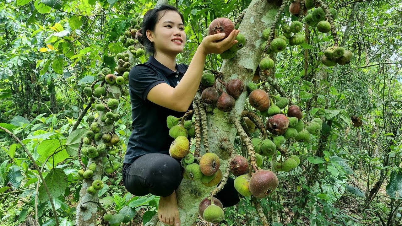 FULL VIDEO: 135 Days Harvest Gourd, Fruits, Peach Fruit, Papaya Flowers, Chili go market sell