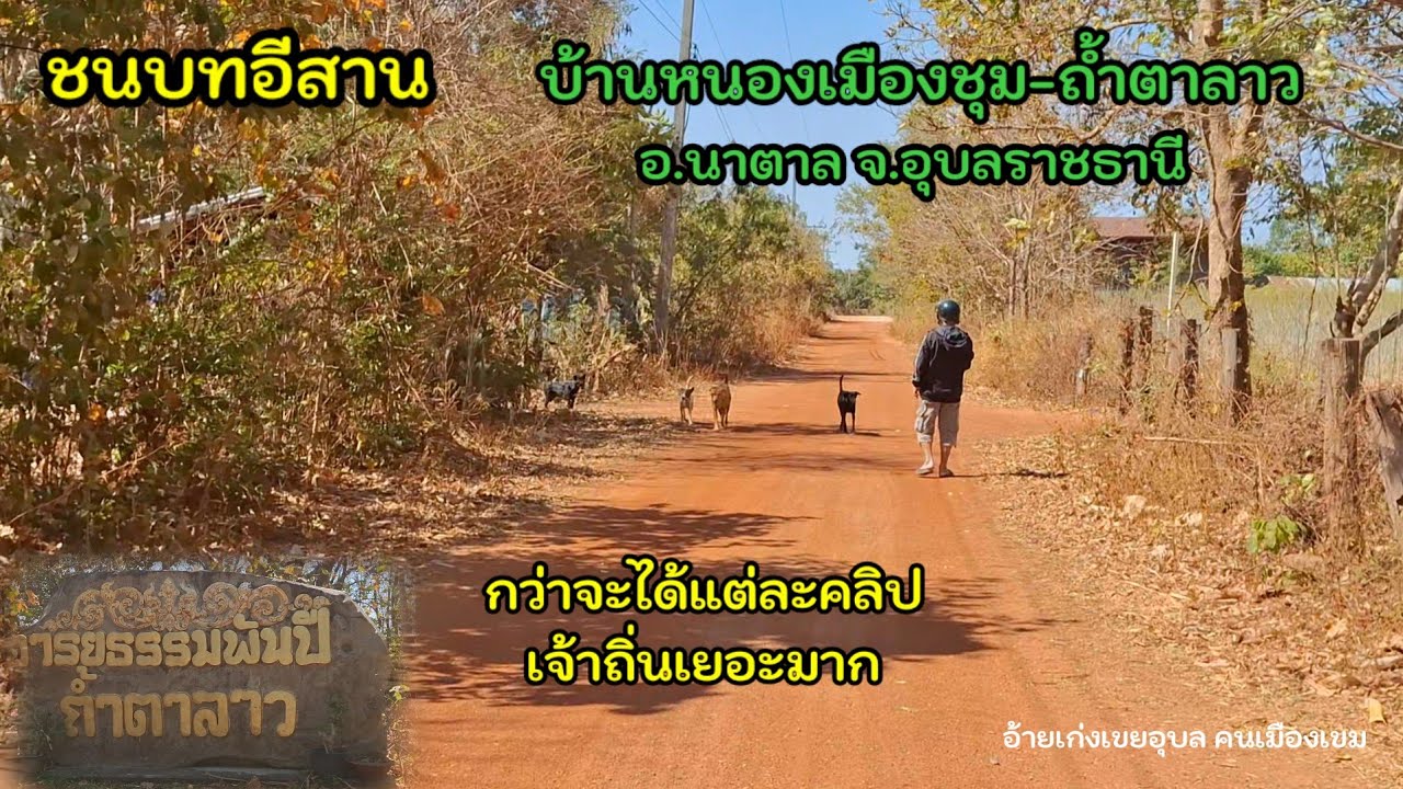 อ้ายเก่งพาเลาะบ้าน Ep 14 เส้นทางชนบท บ้านหนองเมืองชุ่ม ไปอารยธรรม 1,000 ปี ถ้ำตาลาว
