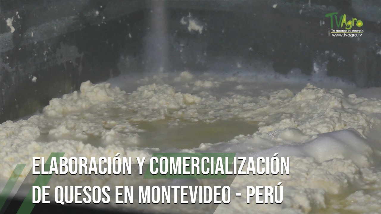 ELABORACIÓN y comercialización de QUESOS EN MONTEVIDEO - PERÚ - por Juan Gonzalo Angel Restrepo
