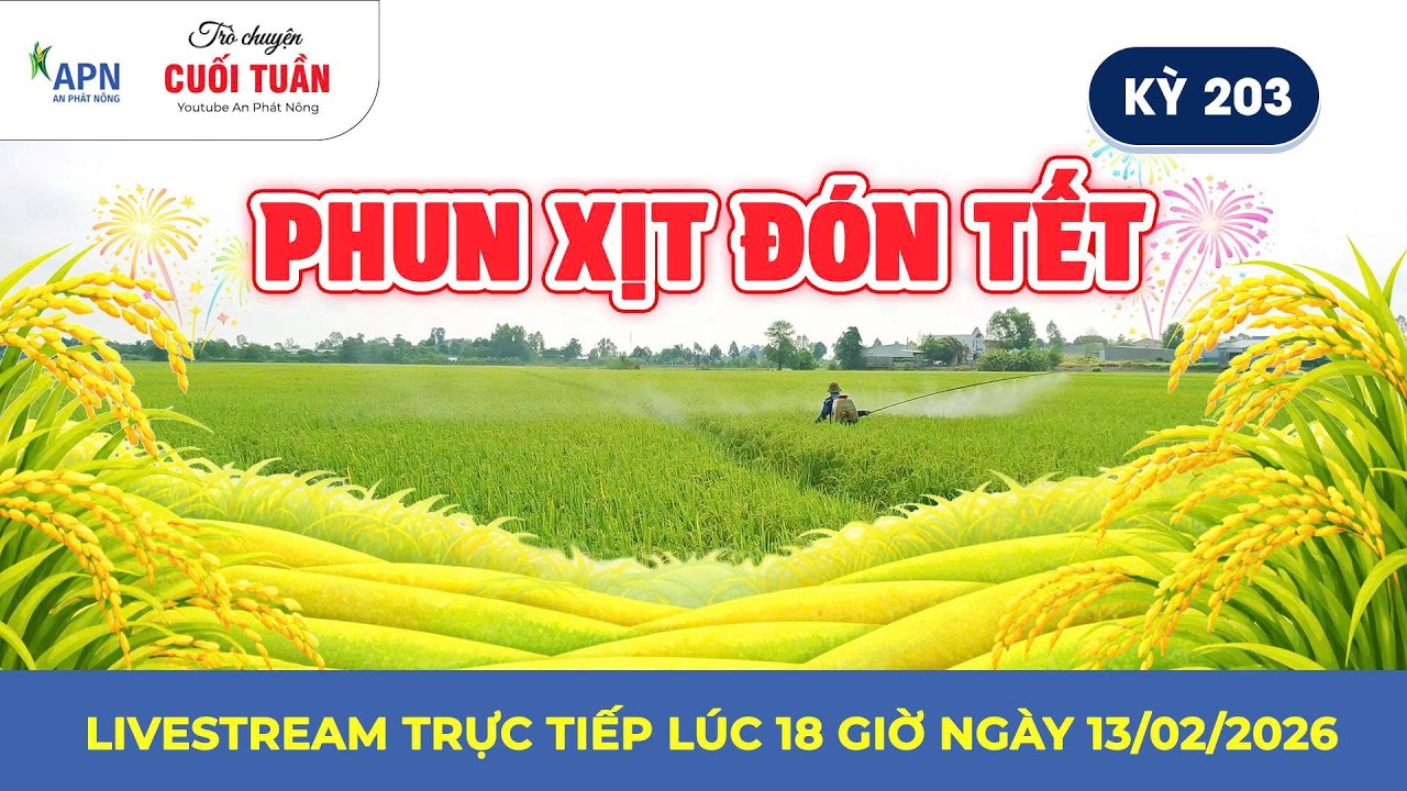 APN - PHUN XỊT ĐÓN TẾT | TRÒ CHUYỆN CUỐI TUẦN KỲ 203