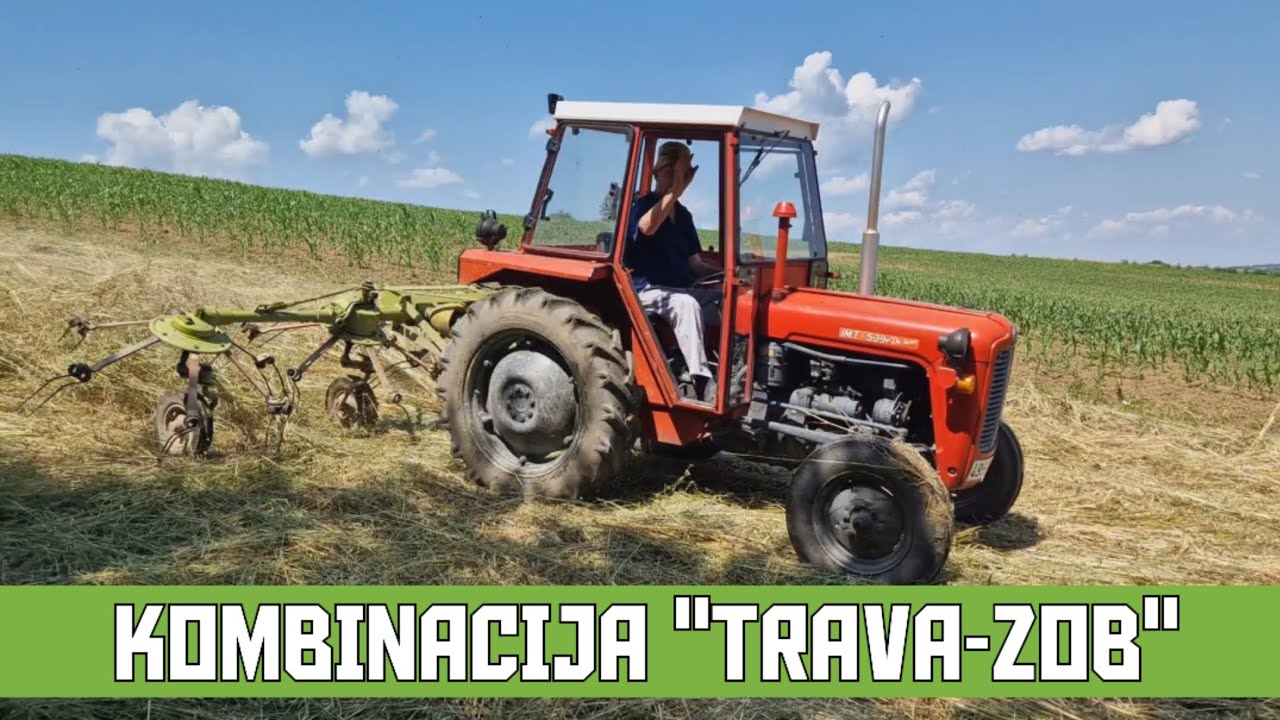 BAJO KOSI, A ĐED RAZBACUJE!!