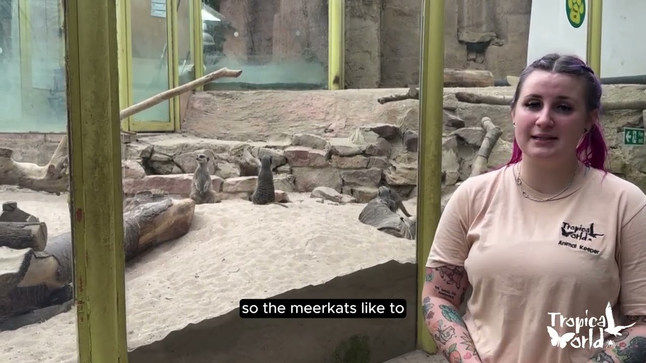 Animal Keeper Amy