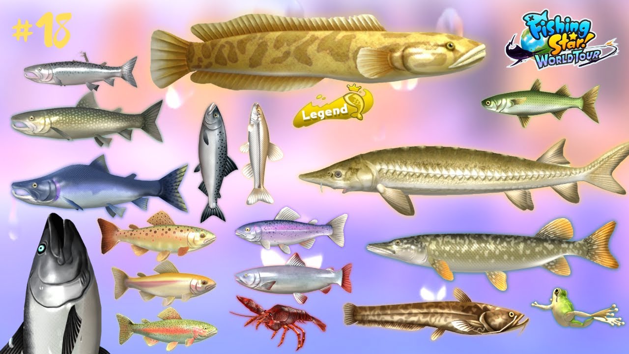 Fishing Star World Tour : Catch All Fishes In The World #18