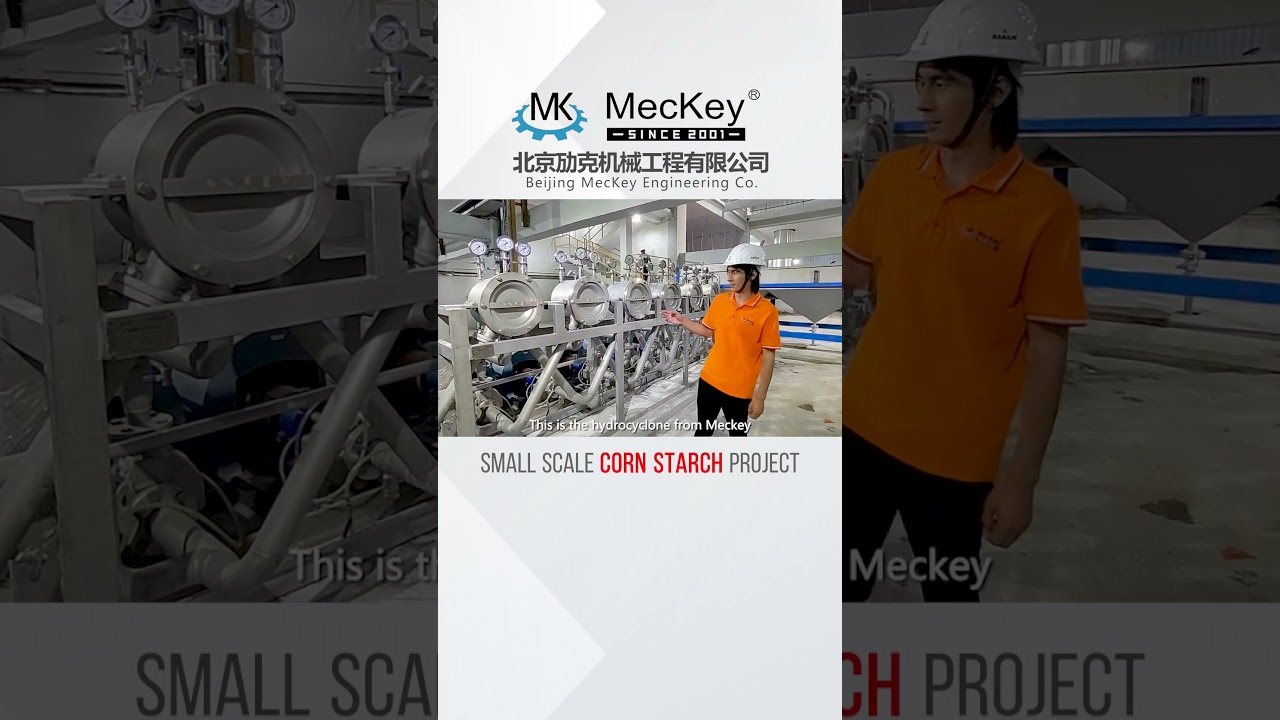 Small scale corn starch production line