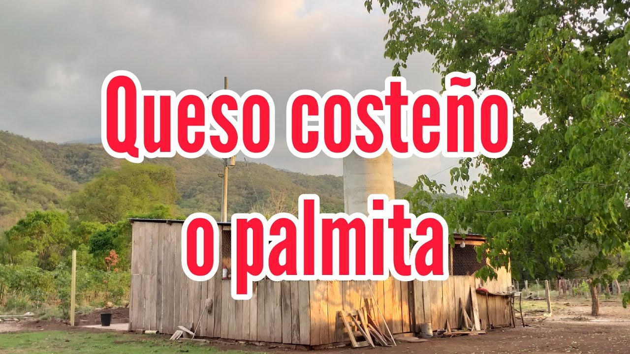 Queso costeño o palmita, como se hace.
