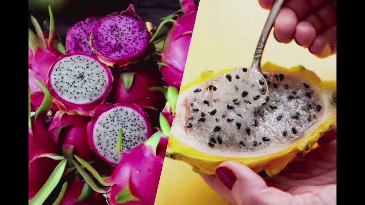 Encuentro sobre pitahayas 5 y 6 de marzo en Concordia Entre Ríos - Radio Continental