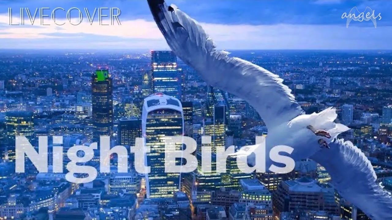 『Night Birds』Shakatak Band cover