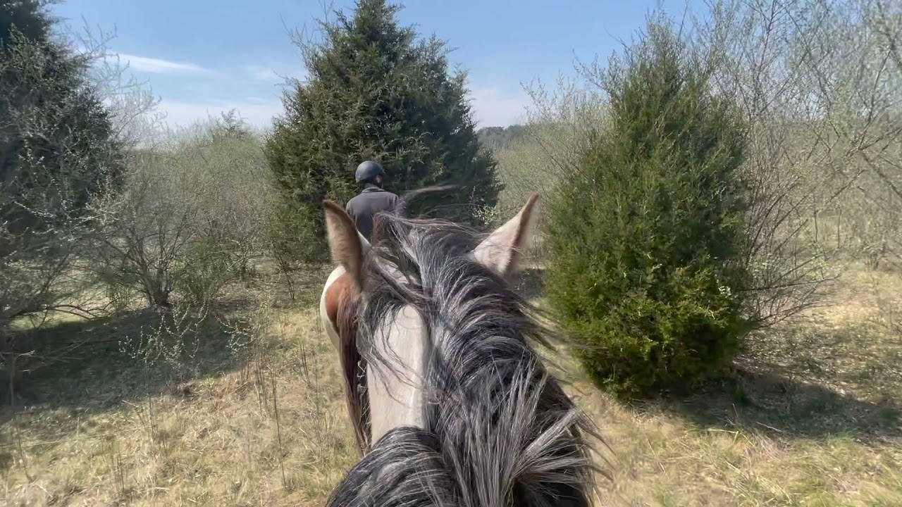 Cowboy - trails