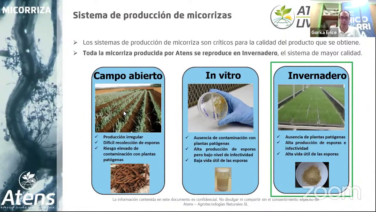 Protocolo a base de Micorrizas y Trichoderma para plantaciones de Olivar y Almendro