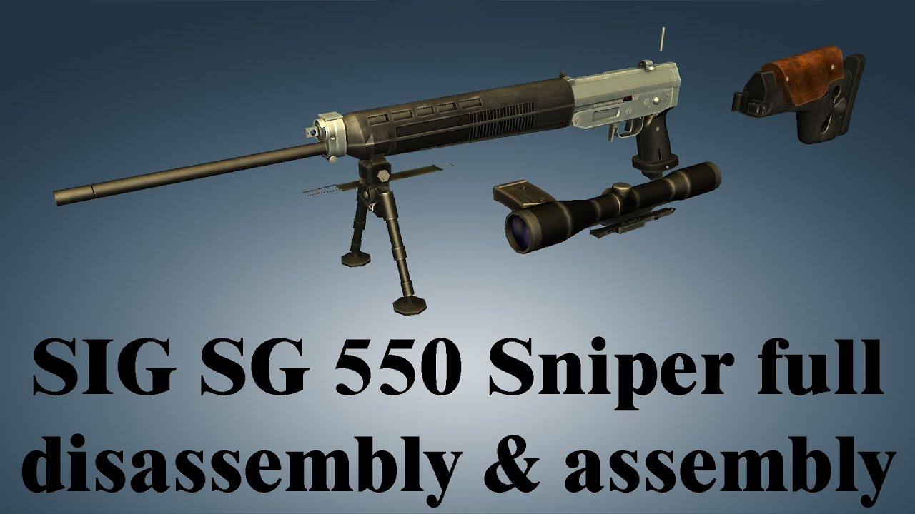 SIG SG 550 Sniper: full disassembly & assembly | World of Guns