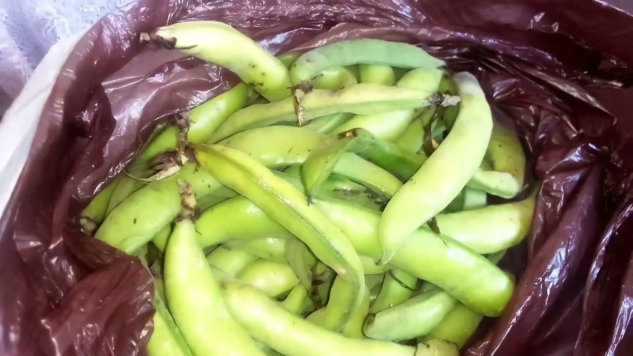 حضرت فول وفاصوليا  خضراءللتفريز شهر ميلادي اذا حذفنا الحرف الاول تحول لفاكهه