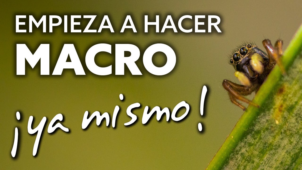 5 CONSEJOS para empezar en fotograf&iacute;a MACRO ❗️YA MISMO❗️