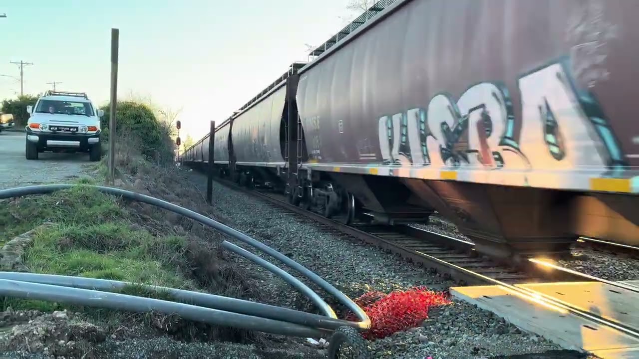 Bnsf#8202 as head leader passing through Titlow Beach.