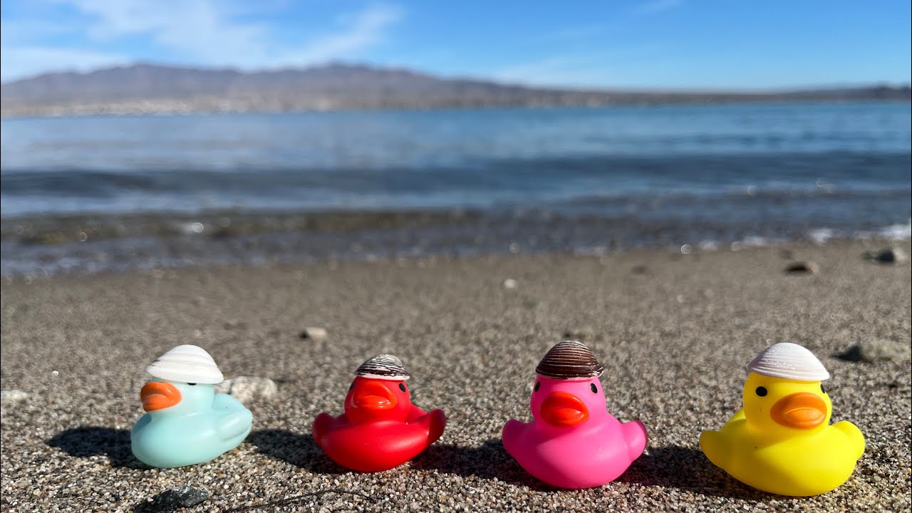 Lake Havasu ~ California Side