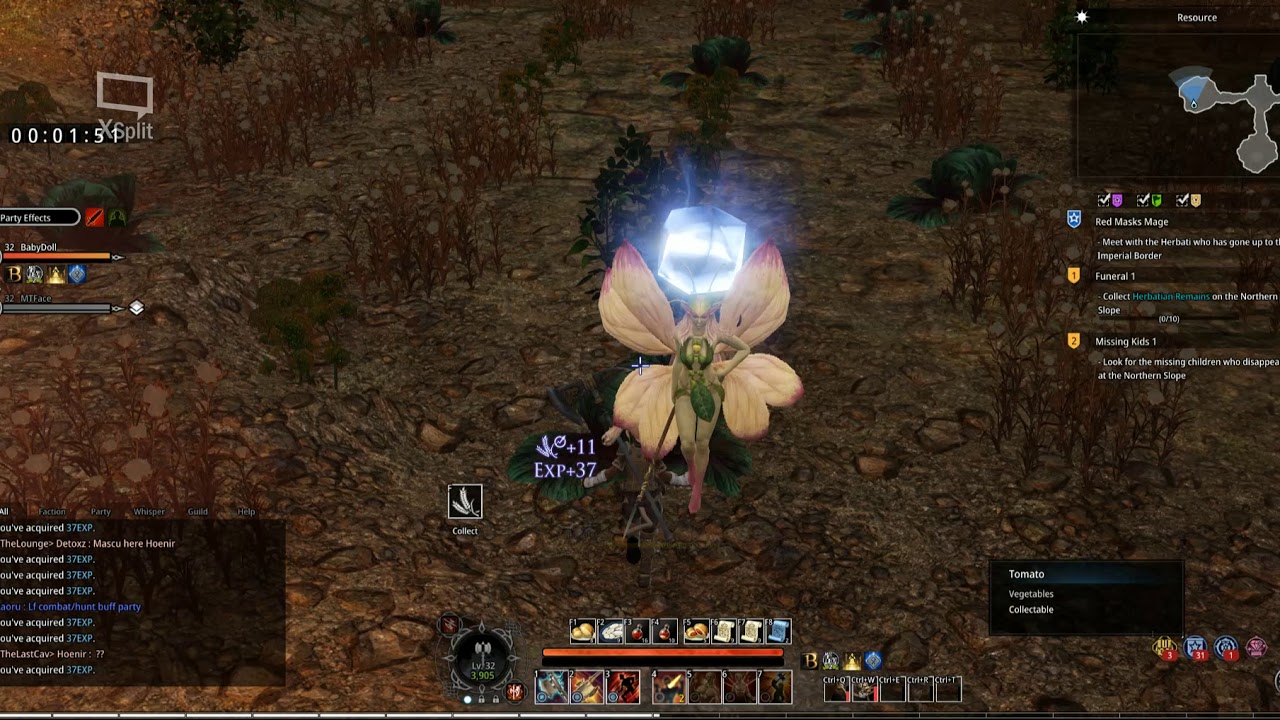 Resource Dungeon, Bless Online