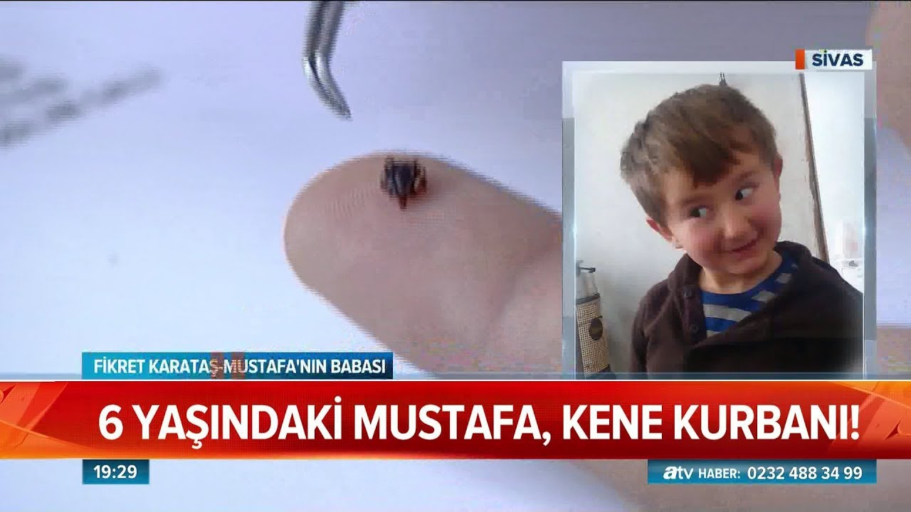 Kırım kongo iki can aldı - Atv Haber 24 Mayıs 2018