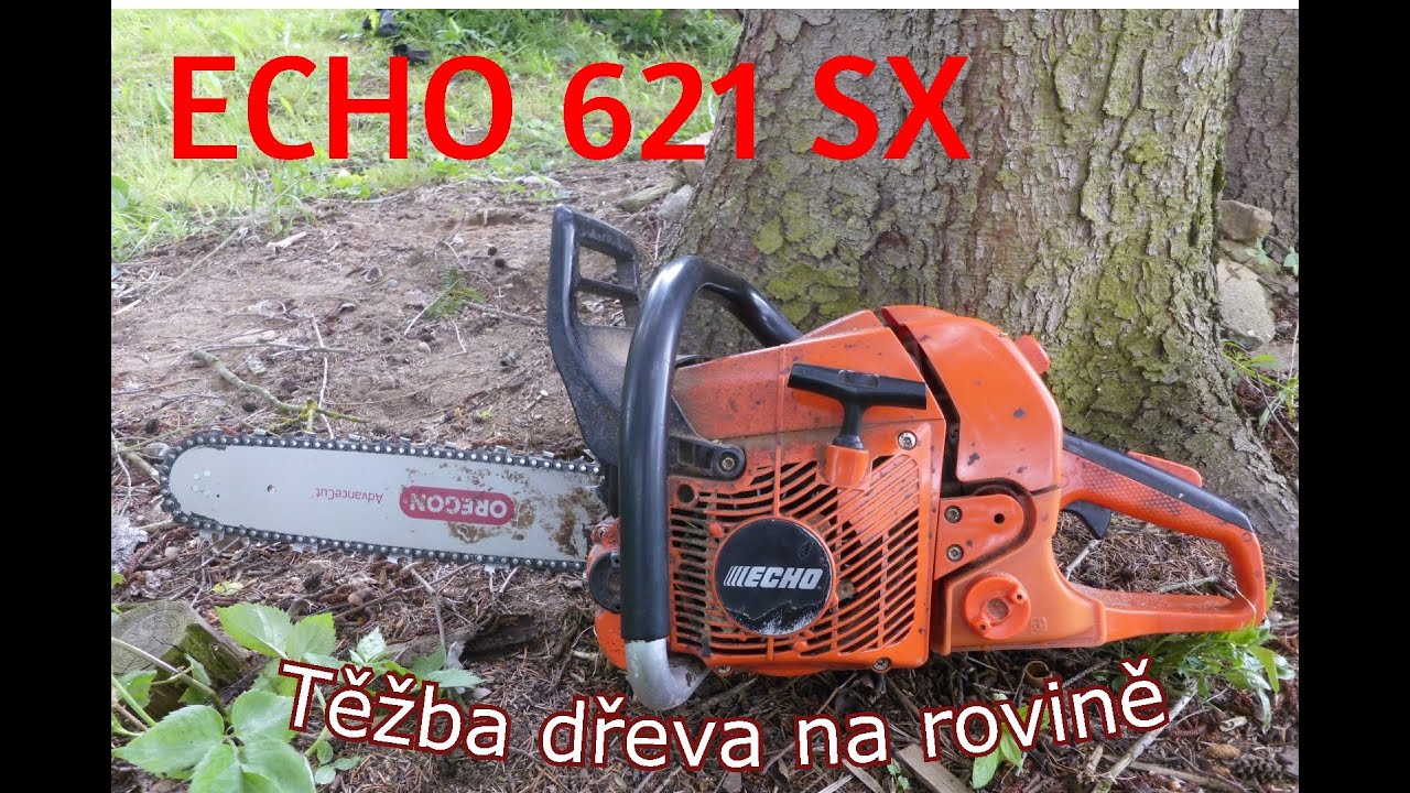 Forest job / Těžba - smrk a suchá borovice - Echo 621 SX #216