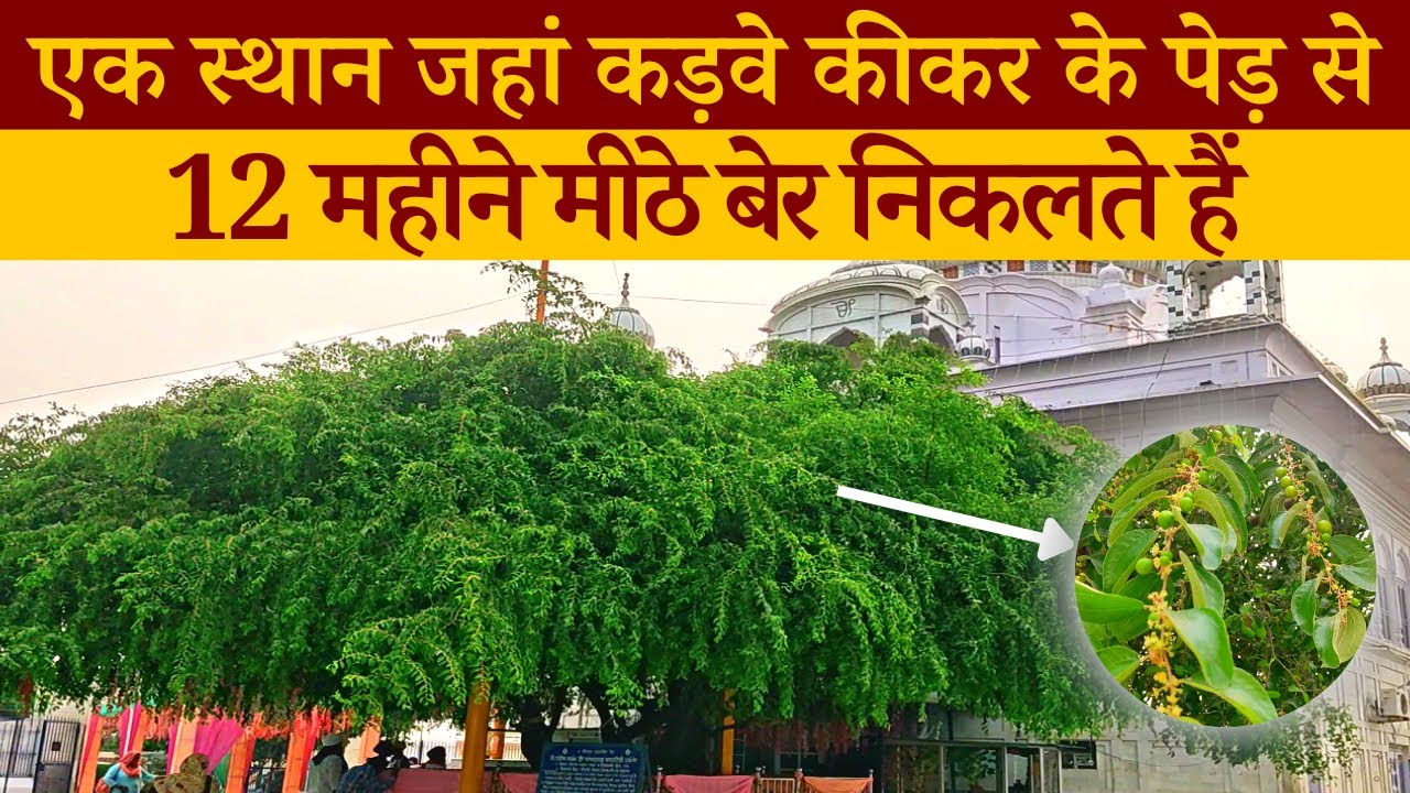 When Guru Nanak Dev Ji Came To See Shivratri Festival | Gurudwara Achal Sahib