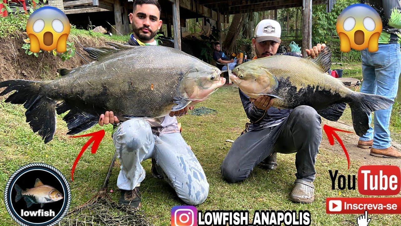 PESCARIA 100% ESTILO GOIANO💥💥😱😱 - NATIVOS PESCA ESPORTIVA