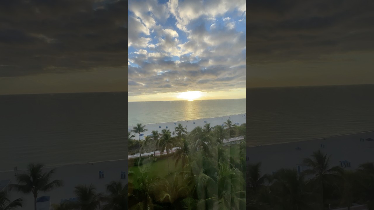 Welcome to Miami! 