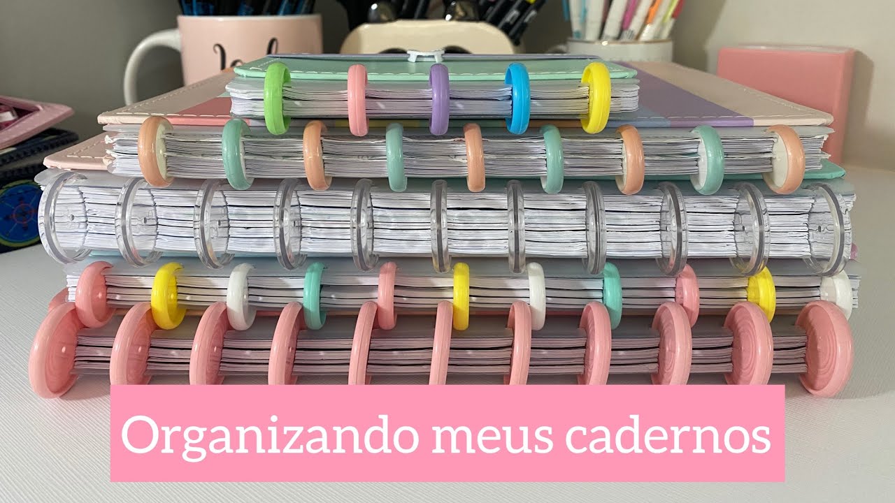 Organizando meus cadernos Inteligentes