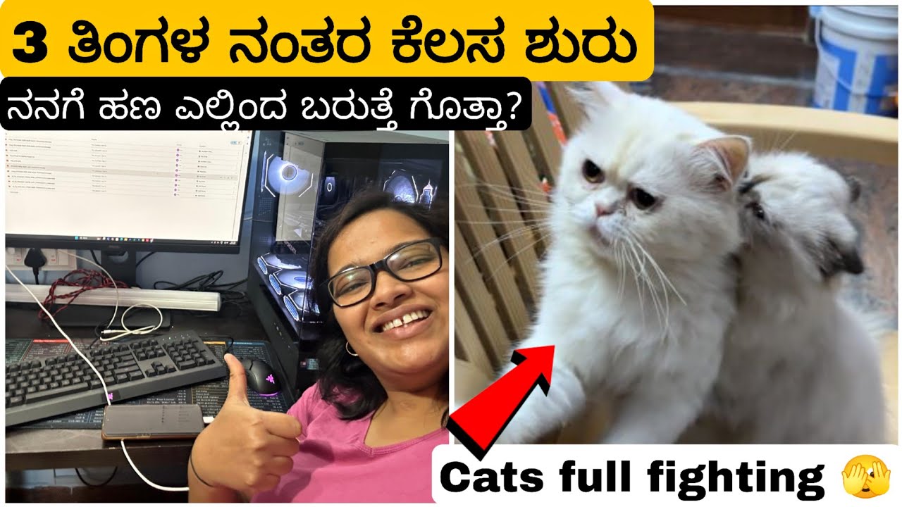 ನಾನು ಏನು ಕೆಲಸ ಮಾಡುತ್ತೇನೆ ಗೊತ್ತಾ? 3 ತಿಂಗಳ ನಂತರ ಕೆಲಸ ಶುರು 🙌 ನಮ್ಮ ಮನೆಯಲ್ಲಿ Cats full Fighting 😂