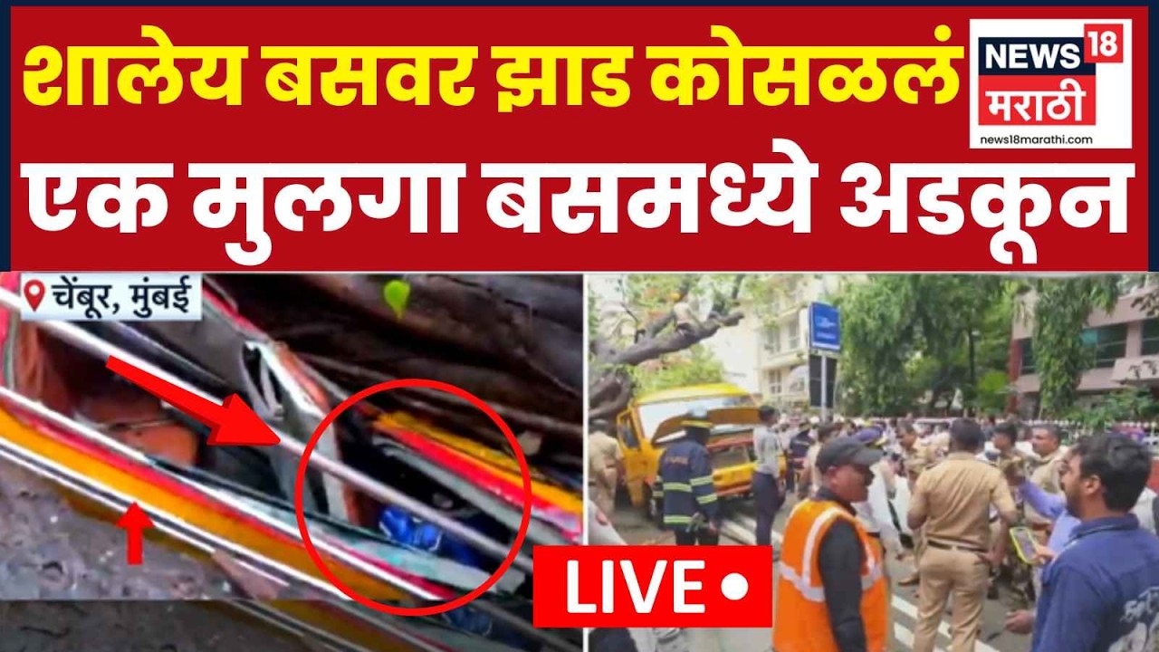 Mumbai Rain Accident News LIVE | Chembur मध्ये शाळेच्या बसवर झाड कोसळलं, रेस्क्यू LIVE