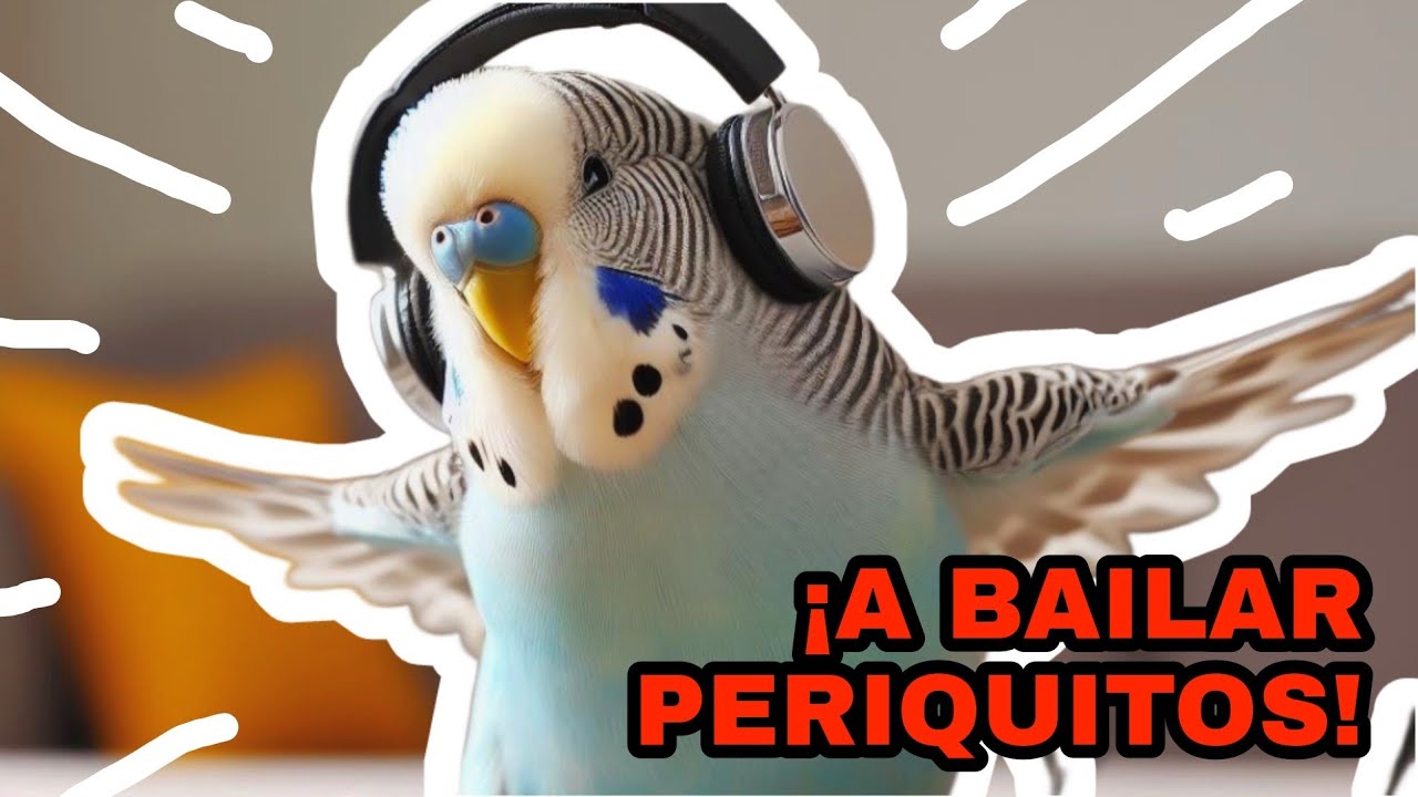 &iexcl;A BAILAR, PERIQUITOS! M&Uacute;SICA VIBRANTE PARA TUS AVES