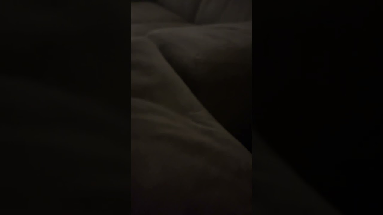 Raz bar triple berry ice