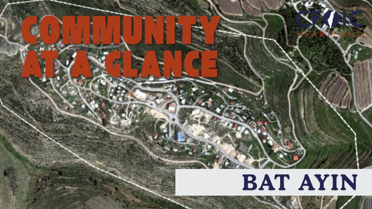 Community at a Glance: Bat Ayin