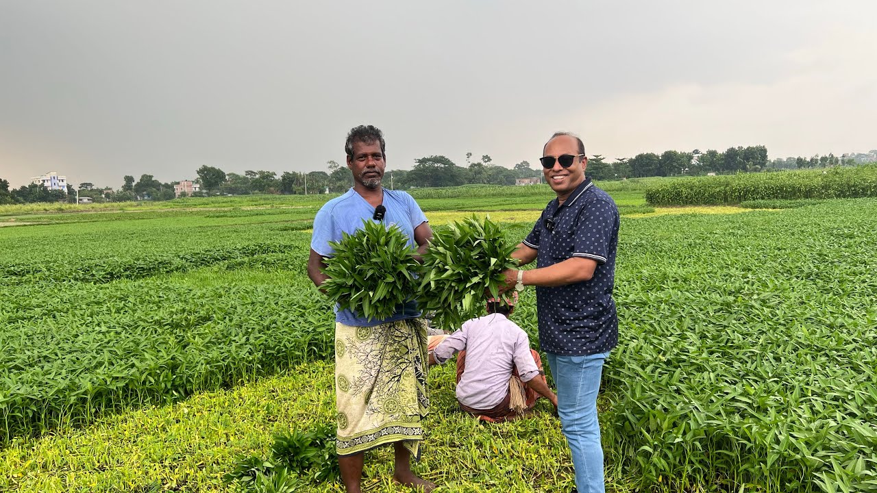 কলমি শাক চাষ: স্বাবলম্বী হবার সহজ পথ(Collard Greens Cultivation: An easy way to become self-reliant)
