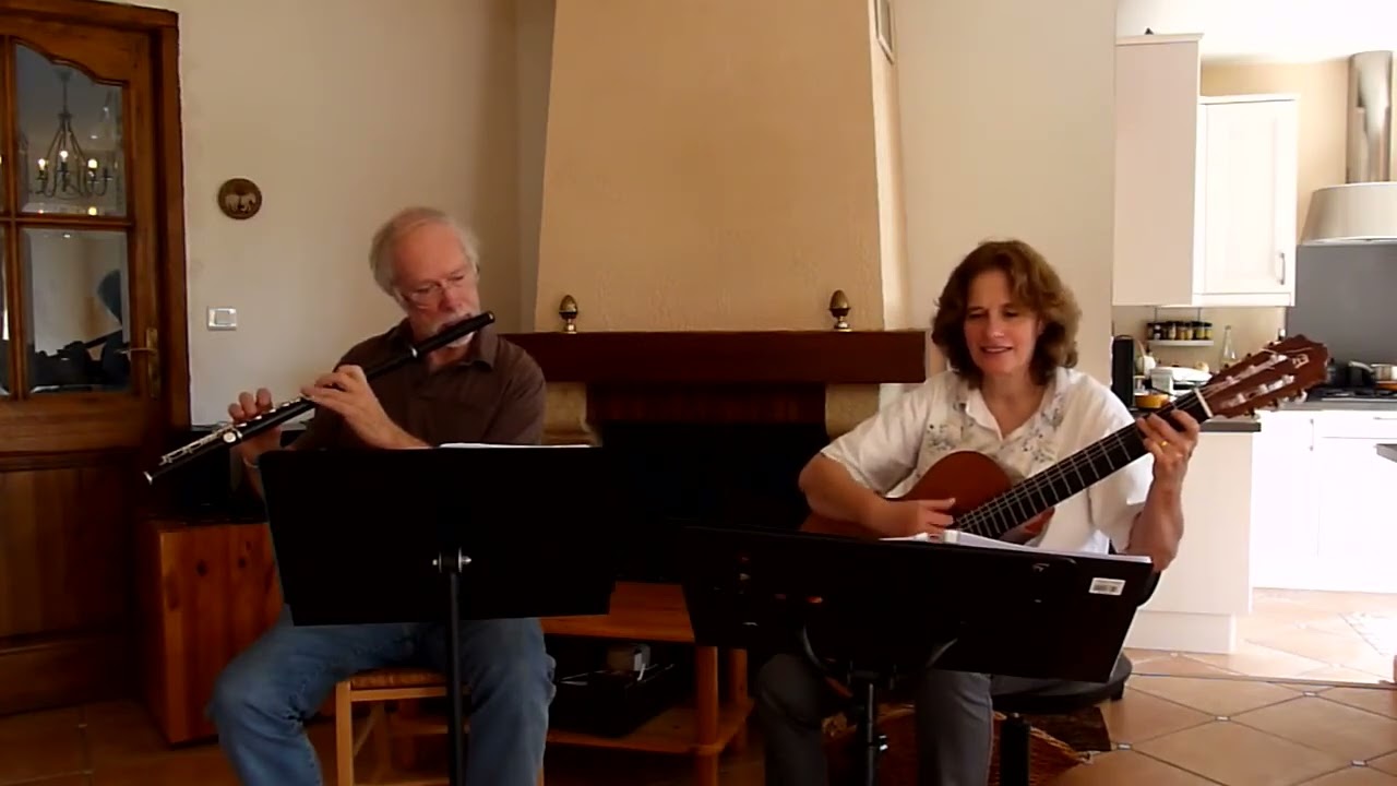 'Rakes of Mallow' :Trad  Irish (flute & guitar).