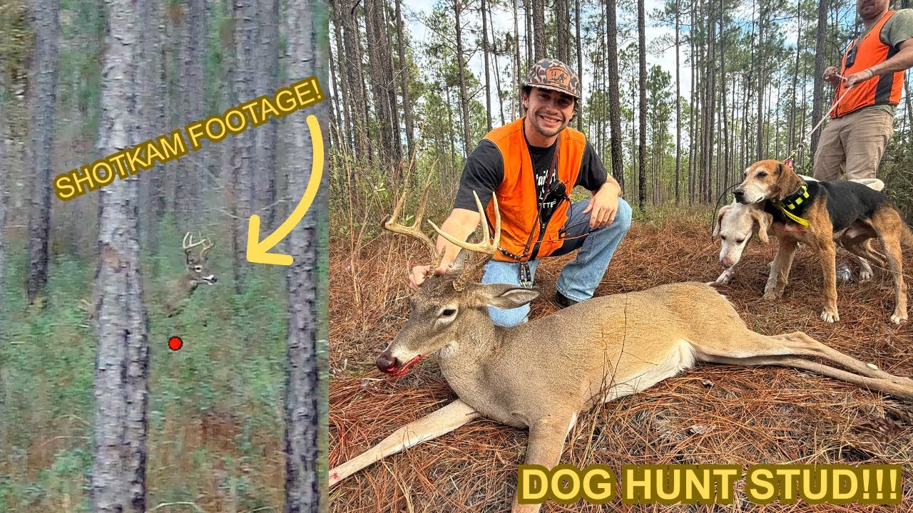 Awesome Southern Dog Hunt Stud!! (SHOTKAM FOOTAGE)