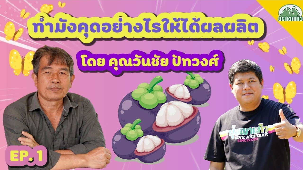 EP.1 ทำมังคุดอย่างไรให้ได้ผลผลิต |ปุ๋ยตราเขาแก้ว (Official)