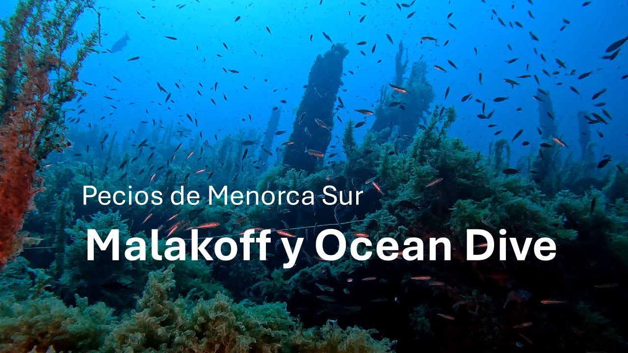 Pecios de Menorca: Malakoff y Ocean Dive en costa sur