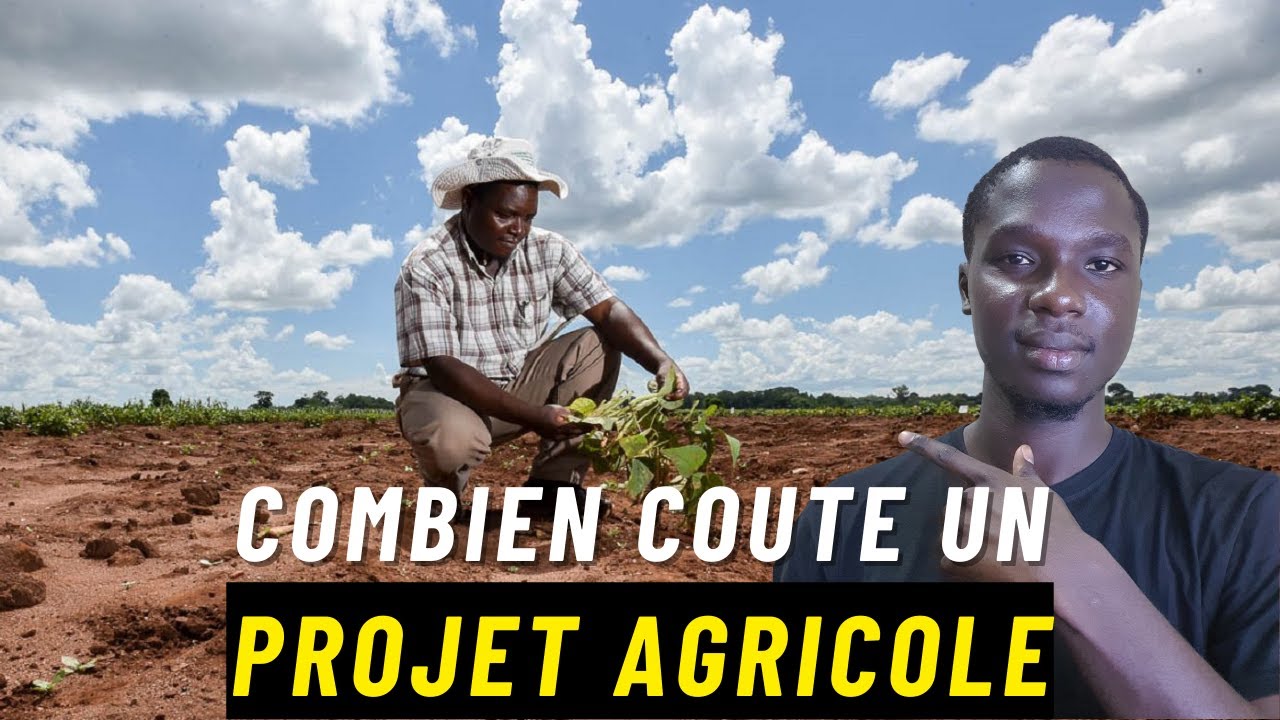 Combien coute un projet agricole sur 1HA au senegal