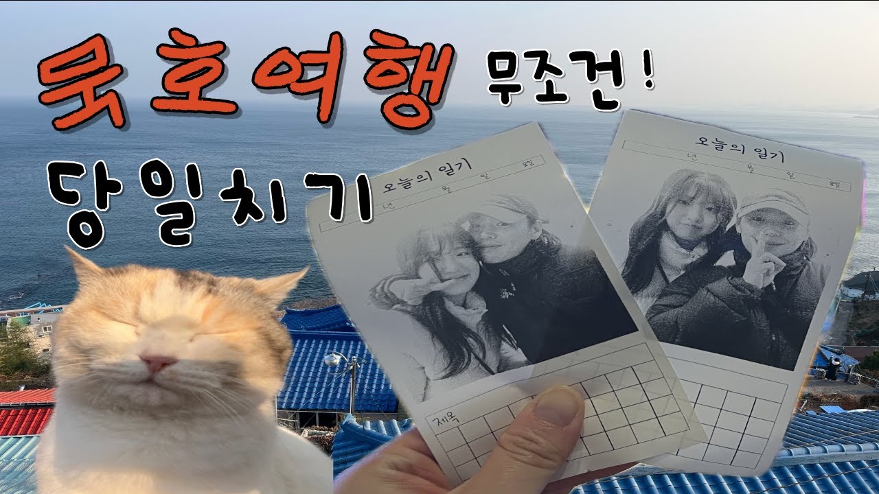 묵호여행 당일치기 6시간이면 충분한 완벽 루트 공개‼️🏖️✈️ (거동탕수육, 동해타파스 와인바, 거북이횟집 곰칫국, 무코야선물가게, 묘한동해, 등대그집)