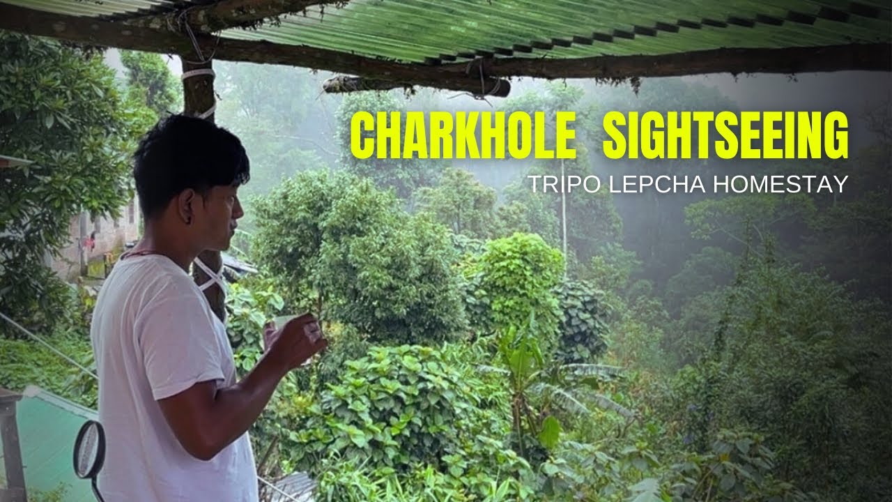 Charkhole Sightseeing | Charkhole Tour Guide | Tripo lepcha Homestay | Charkhole North Bengal 