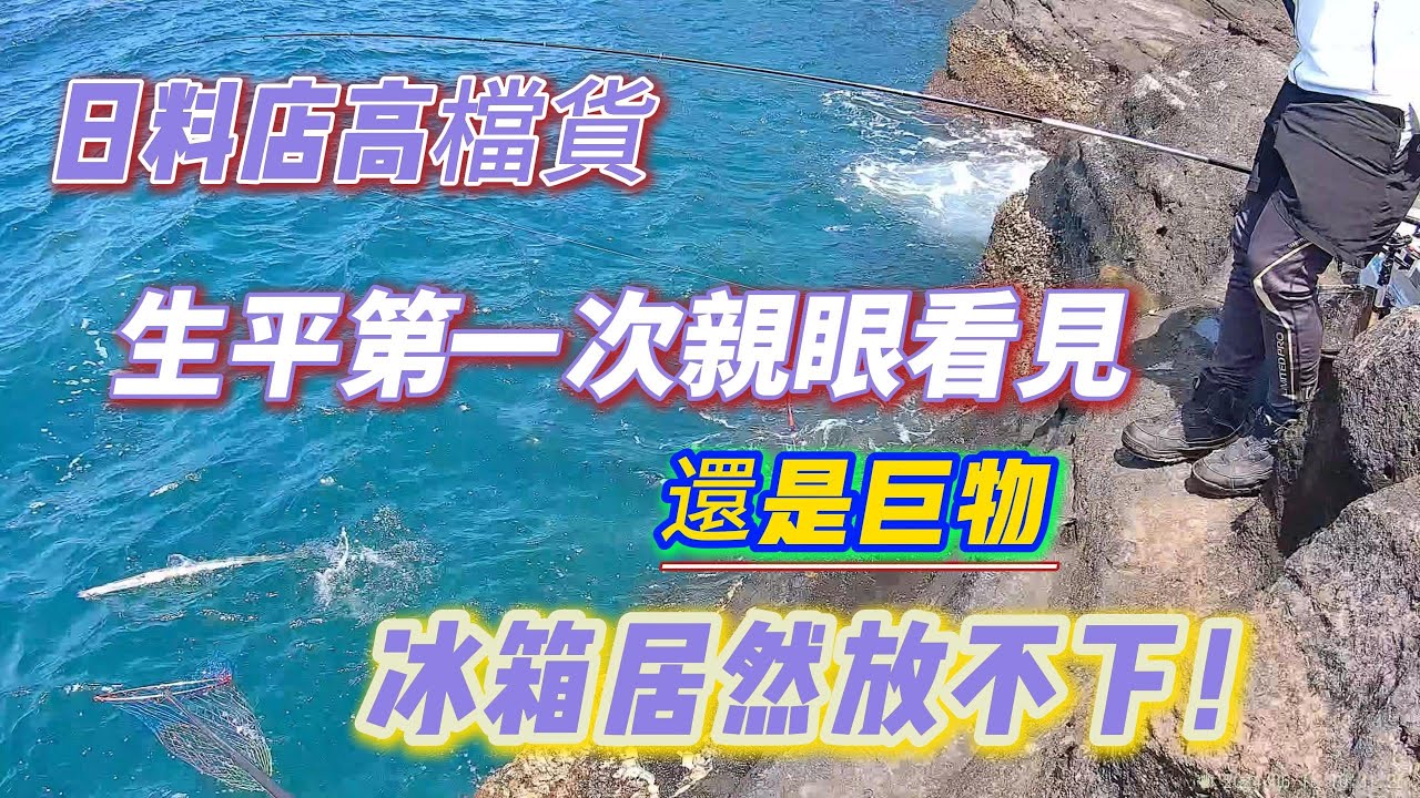 磯釣 澎湖 東嶼坪 大石頭 外礁 臭肚 象魚 白毛 馬鞭魚 喇叭魚 雀鯛 厚殼仔 練餌  不凍蝦 南極蝦 20240616