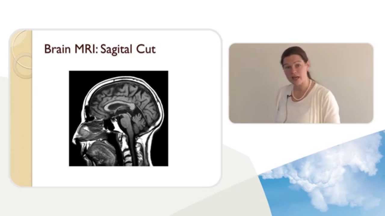 Neurology update, 1 of 6. Neurology basics: Approach to the patient