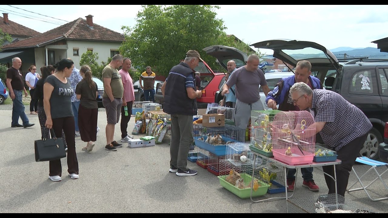 U Miljkovcu održana berza sitnih životinja