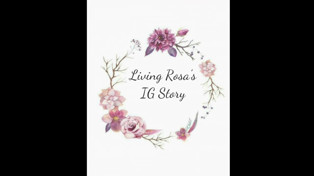 (5/19/18) Living Rosa's IG Story