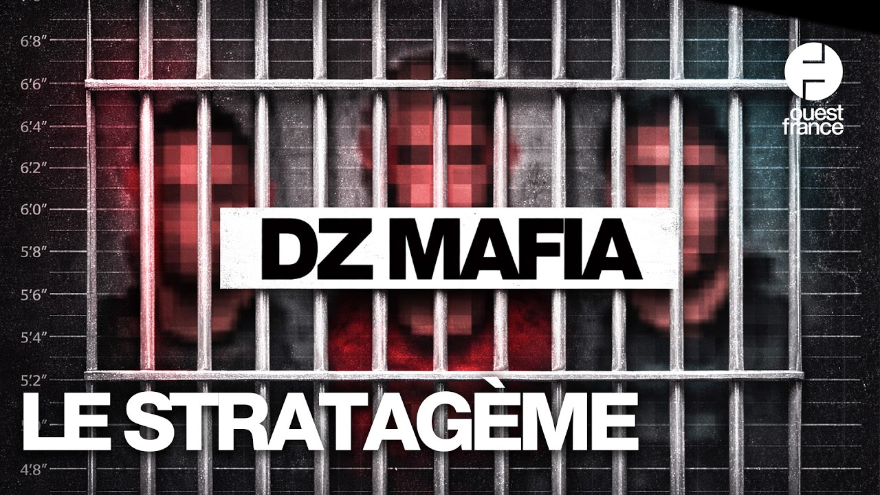 Le récit de l’opération « Octopus », le coup de filet contre la DZ Mafia
