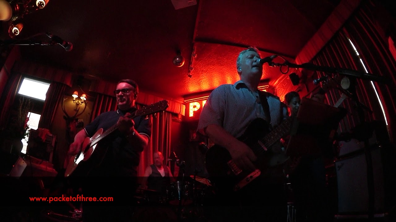 Please Be Upstanding  - Squeeze -  3 August 2018 - Live at The Pelton Arms