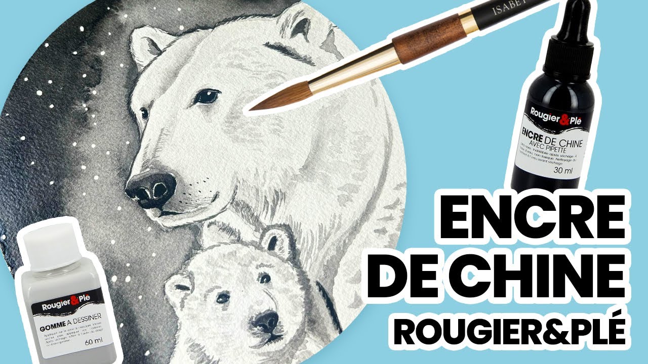 Dessiner un ours polaire à l'encre de Chine Rougier&Plé