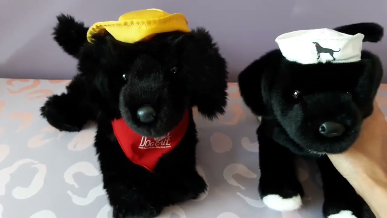 Unboxing Jake the Salty Dog Plush by Douglas Cuddle Toys 🖤