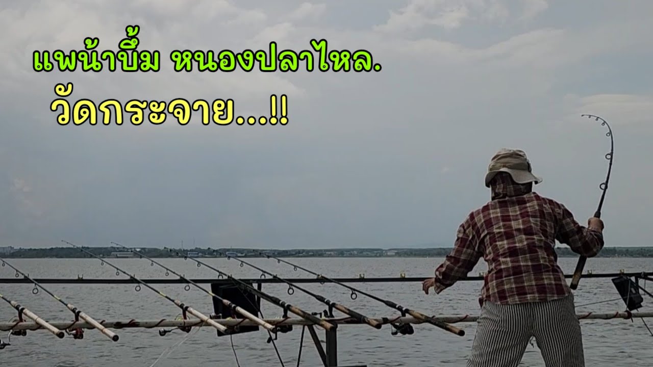 แพน้าบึ้มอ่อมศรี หนองปลาไหล 