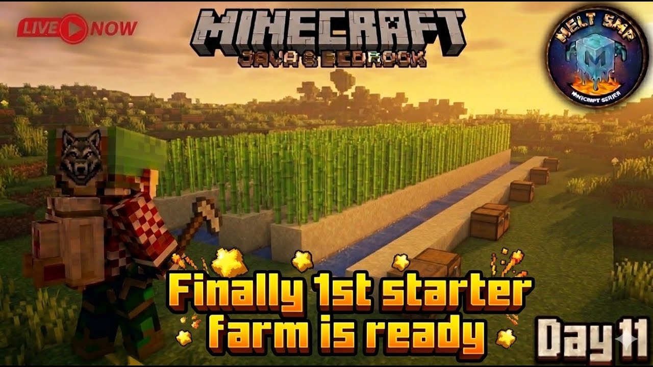 ♦️Sugar Cane Farm is Ready! 🎋 Minecraft Melt SMP Day 11 Live